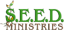 seed ministries